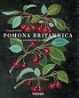 Pomona Britannica: The Complete Plates (Jumbo)