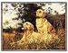 Golden Retriever Woven Throw Blanket
