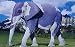Proporta Elephant Camouflage Kit - NEW