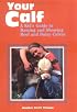Your Calf: A Kid's Guide to Raising and Showing Beef and Dairy Calves