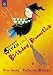 The Birthday Broomstick