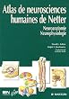 Atlas de Neurosciences humaines de Netter