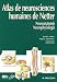 Atlas de Neurosciences humaines de Netter