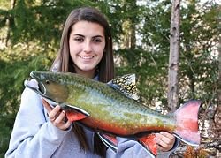 Giant Taxidermy 24" Fiberglass Brook Trout Fish Mount