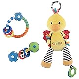 Sassy 3 Piece Stroller/Car Seat Activity Combo Pack, Chick