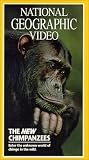 National Geographic: New Chimpanzees (1995)