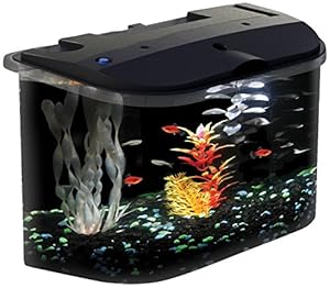 Koller-Craft Aq15005 Aquarius Aquarium Kit, 5-Gallon