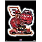 Sam Bass Dale Earnhardt Jr., Gallery Collection Poster