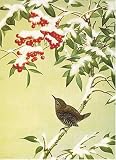 Bird on Berry Tree - American Museum of Natural History