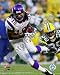 Sidney Rice Vikings 8x10 Photo