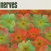 Nerves