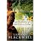 Favorite Historical Christian Fiction
