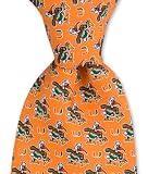 Miami Ibis Neck Tie