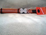 Reflective Range Safety Dog Collar - Medium Orange