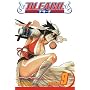 Bleach: v. 9