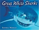 Great White Sharks (Animal Predators)