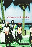 Culture in practice : selected essays