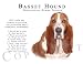 Basset Hound BI Human Trainer Mouse Pad Dog Mousepad