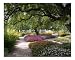 A Portsmouth Garden Scenic Photographic Poster Print by B J Anderson, 10x8