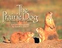 The Prairie Dog: Sentinel of the Plains