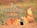The Prairie Dog: Sentinel of the Plains