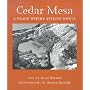 Cedar Mesa: A Place Where Spirits Dwell (Desert Places)