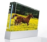 Horse The Mother Nature Decorative Protector Skin Decal Sticker for Nintend ....