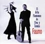 El Arte Flamenco De Elva