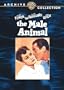 The Male Animal