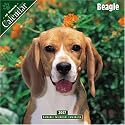 Beagle 2007 Wall Calendar