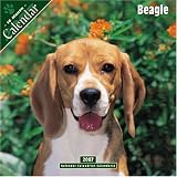 Beagle 2007 Wall Calendar