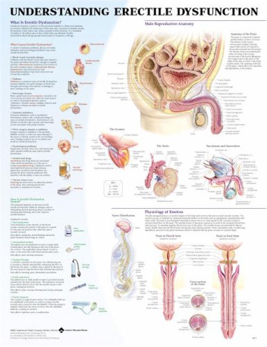 Erectile-Dysfunction
