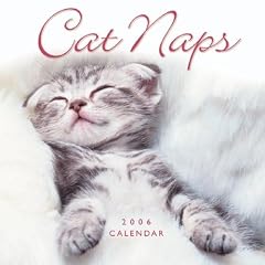 Cat Naps