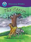 The storm