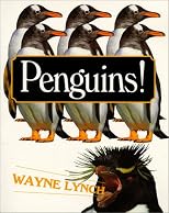 Penguins!