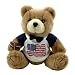 Patriotic Brown Teddy Bear - Plush Toy USA