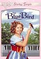The Blue Bird