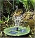 Outdoor Living : Solar Powered Floating Lily Fountain