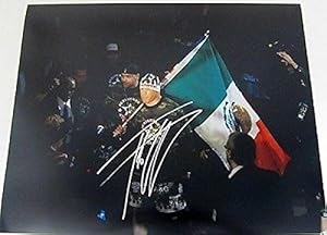 Tito Ortiz Signed UFC Bellator MMA 16x20 Flag Photo SI Authenticated - Autographed UFC Photos