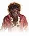 Adult Werewolf Monster Halloween Costume Wig