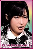 AKB48クリアファイル【指原莉乃】+桜の木になろうCD+DVD（特典生写真なし初回限定盤Type-B）