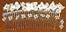 Bridal Faux Pearl With White Roses Silver Hair Clip Back Piece