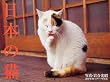 2010�N�J�����_�[ ���{�̔L