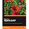 Managing LDAP