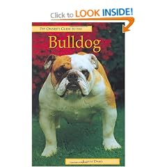 Bulldog