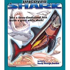 Uncover A Shark (Uncover It)