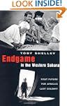 Endgame in the Western Sahara: What F...