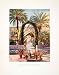 1905 Color Print Garden Alcazar Seville Spain Palace Moorish Fort Mudejar Flower - Original Color Print
