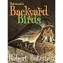 Bateman's Backyard Birds