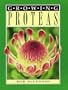 Growing Proteas